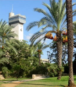 Palm trees in a lush garden with a modern tower in the background, showcasing a blend of nature and architecture.